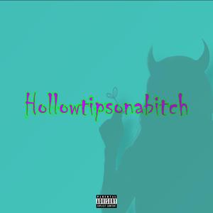 Hollowtipsonabitch