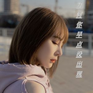为何你早点没出现