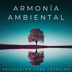Meditación Y Yoga De Variación De La Música Ambiental