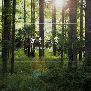 纯音乐 (8)
