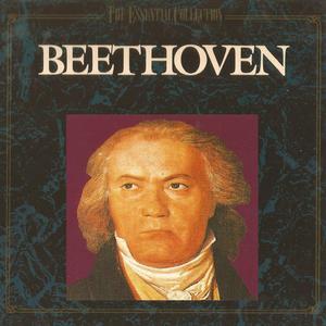 Symphony No. 7 in A Major, Op. 92: II. Allegretto