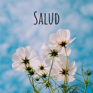 Salud