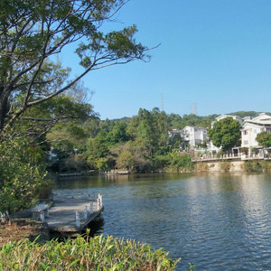 后来（穷开心 remix）