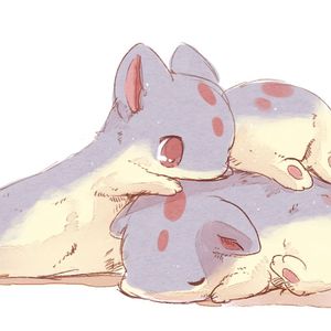 虫儿飞