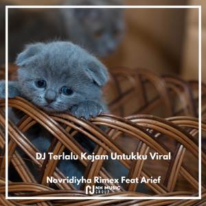 DJ Terlalu Kejam Untukku Viral
