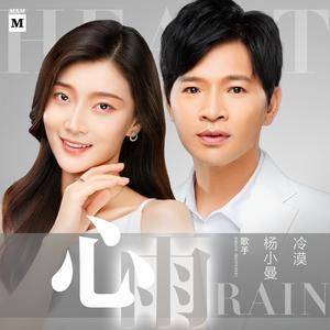 心雨 (DJ沈念版)