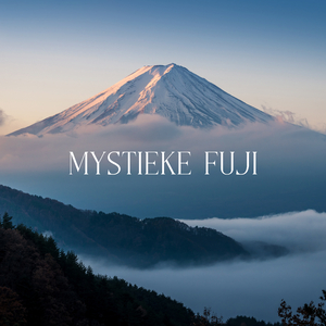 Droevig en Emotioneel Iers Lied