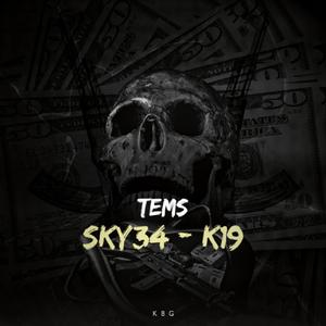 Tems (feat. K19)