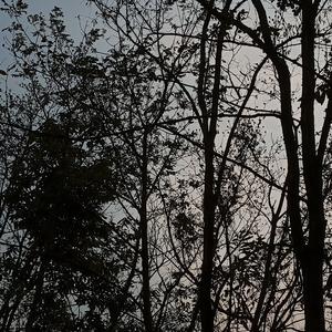 春泥（翻唱自余超颖）