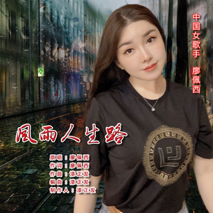 风雨路（舞曲版）