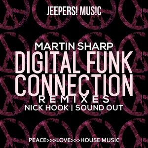 Digital Funk Connection (Nick Hook Remix)