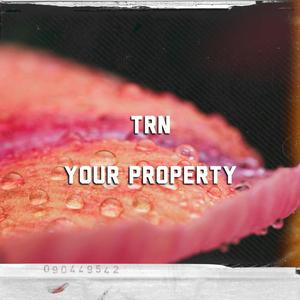 Your Property