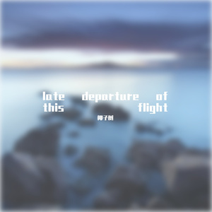 late departure of this flight