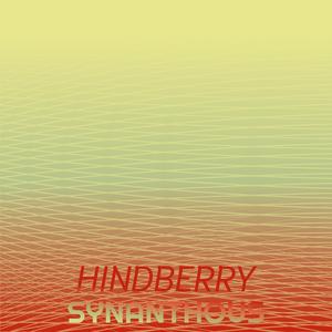 Bibliographer Niente