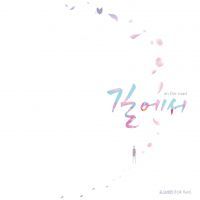 코스모스가 나비에게