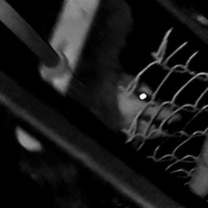 good morning sunshine :)