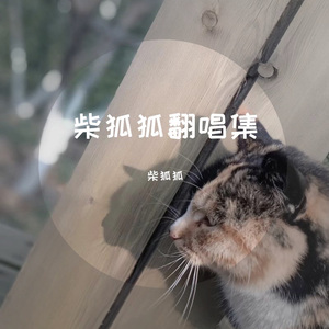 张韶涵-隐形 的翅膀