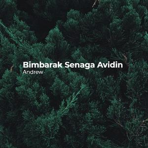 Bimbarak Senaga Avidin