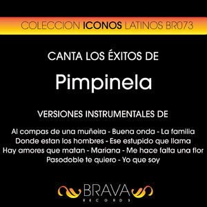 Pasodoble Te Quiero (Instrumental Version)