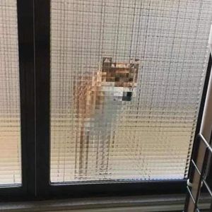 合作demo(Prod.by Rick1y)