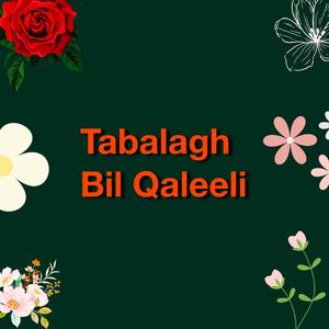 Tabalagh Bil Qaleeli