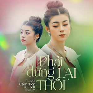 Phải Dừng Lại Thôi (Remix)