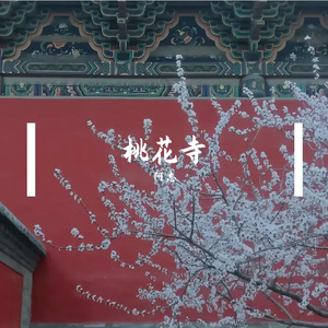 风雪中的大雁 伴奏