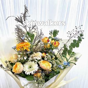 shallow lady gaga lyrics