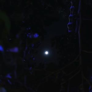 love you like nobody