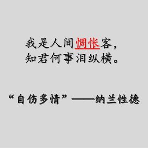 人生若只如初见