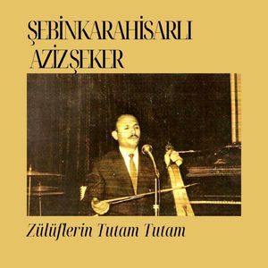 Zülüflerin Tutam Tutam