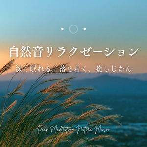 心を癒すソルフェジオ -Healing Forest- (寝落ちのピアノの森 α波→θ波→δ波)