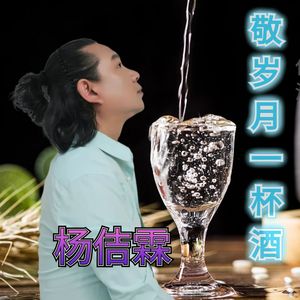 《敬岁月一杯酒》杨佶霖 伴奏版