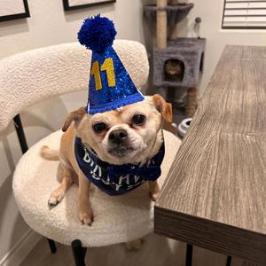 thai coconut chicken