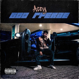600 Pferde