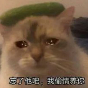 独活（翻自 群星）