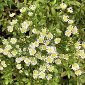 我们走在大路上