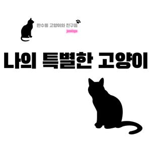 나의 특별한 고양이