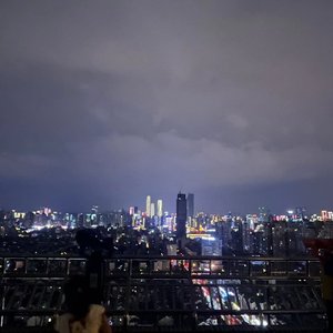 夜已静