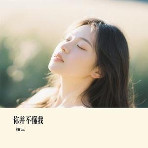 你并不懂我(Cover By2)