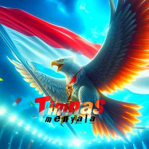 Timnas Menyala