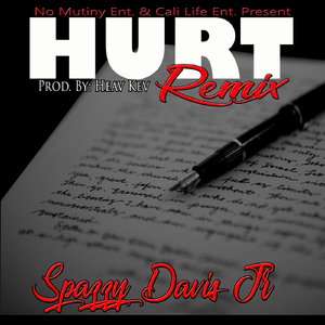 Hurt (Remix)