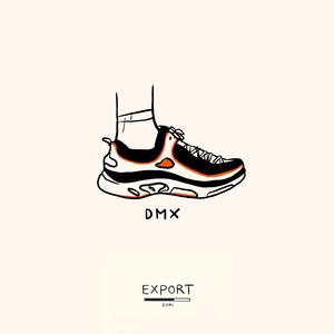 DMX (Export #21)