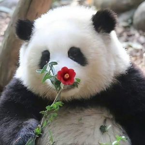 瘦子