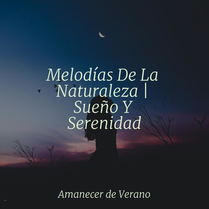 El Silencio Amatista del Crepúsculo