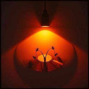 Better Late Than Never