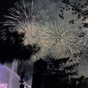 夏夜最后的烟火sea