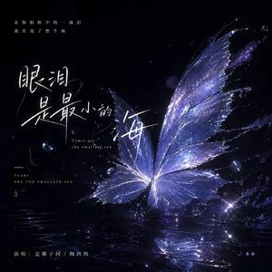 眼泪是最小的海（Tears are the smallest sea）