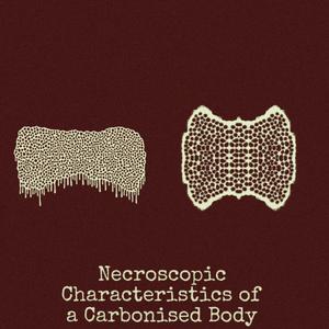 Septically Severe Epiretinal Membrane Complicated By Macular Edema, Symptoms of Rotting Eyes (Lost Re-recording)