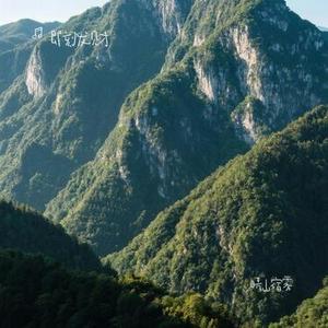 晴山宿雾